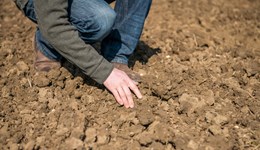 Shropshire:  Soil health before and after SFI 